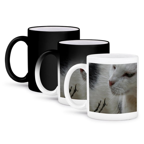 3dRose, Cat Black and White Cat, 11oz Magic Transforming Mug