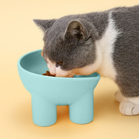 Cat Bowl, Anti-Vomiting Tilted Elevated Cat Food Bowl, Raised Feeder for Cats and Small Dogs, Ideal for Pet Health, Blue
