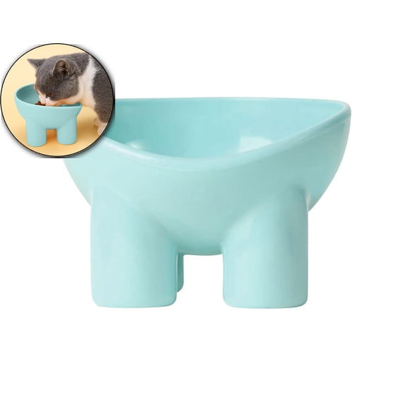 Cat Bowl, Elevated Pet Bowl, Anti-Vomiting Tilted Elevated Cat Food Bowl, Whisker Friendly Slanted Feeding Bowls with Shallow & Tall Design