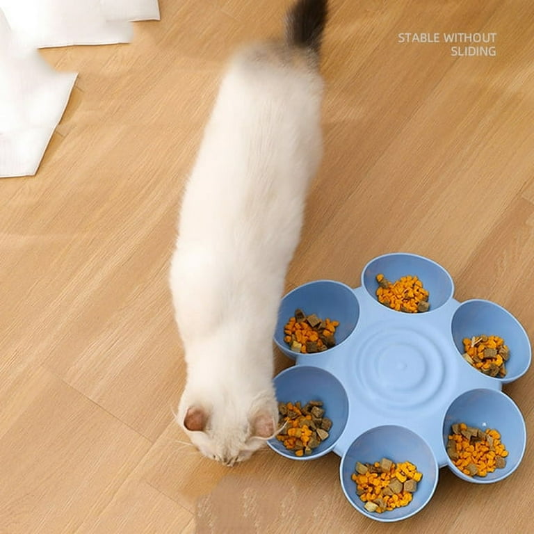 Cat Bowl Cat Food Water Bowls Dishes Multi Cat Feeder 6 Meal Kitten Food Bowl Multiple Cat Dinner with 6 Cat Bowls Kitty Cat Bowl Feeding Bowl Litter