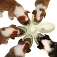 thumbnail image 1 of Cat Bowls Cat Food Water Bowls Dishes Multi-Cat Feeder 6-Meal Kitten Food Bowl Multiple Cat Dinner with 6 Cat Bowls Kitty Cat Bowls Set Double Feeding Bowl Litter Food Feeding Weaning Feeder, 1 of 6