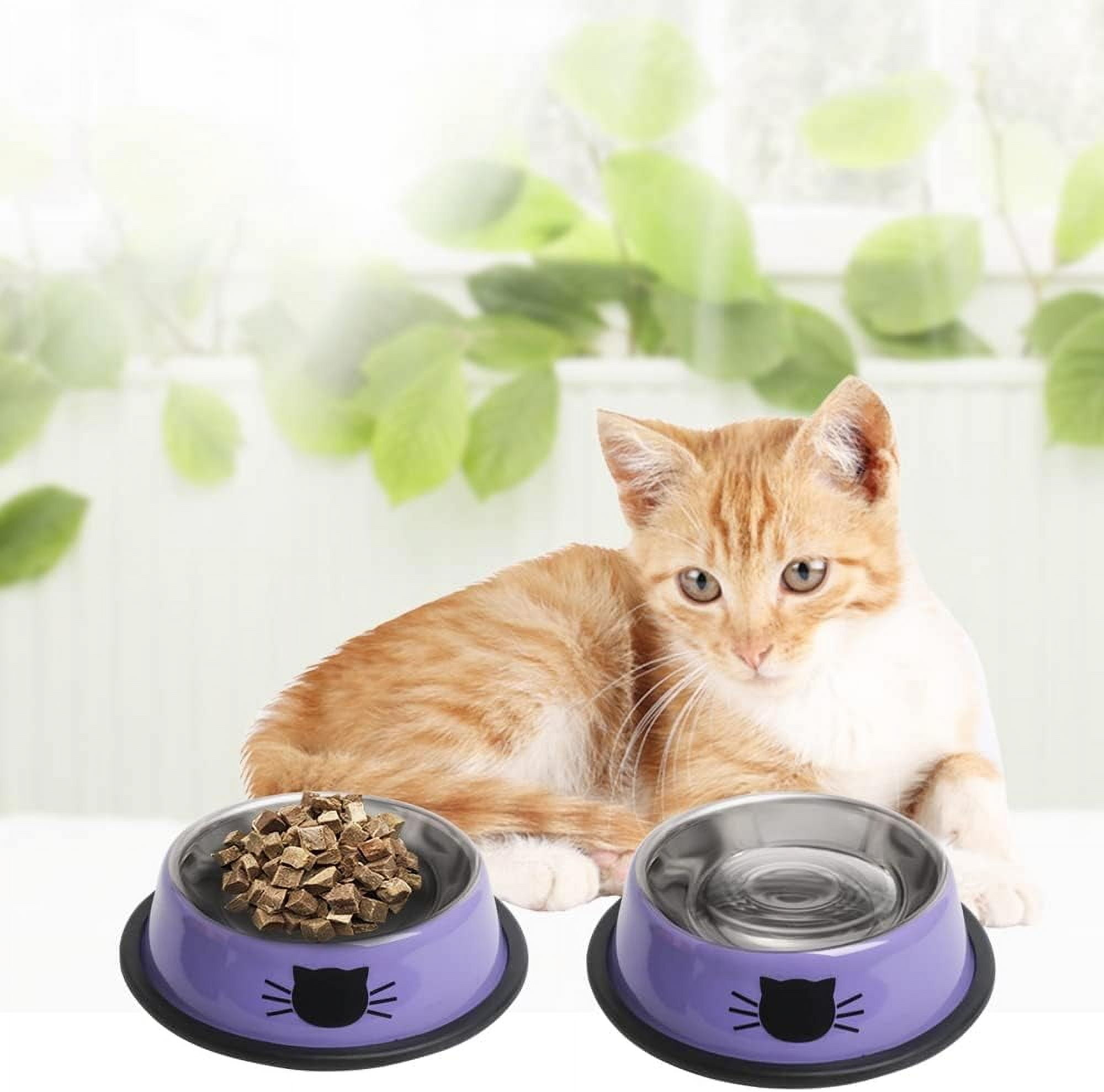 Puppy Food Bowls Shallow Wide Cat Food Bowl Set (12-Piece
