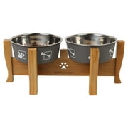 Cat Bowls for Kittens, Cat Water Bowl Non Spill, Cat Bowls with Stand Tilted with 2 Stainless Steel Bowls for Cats and Small dogs