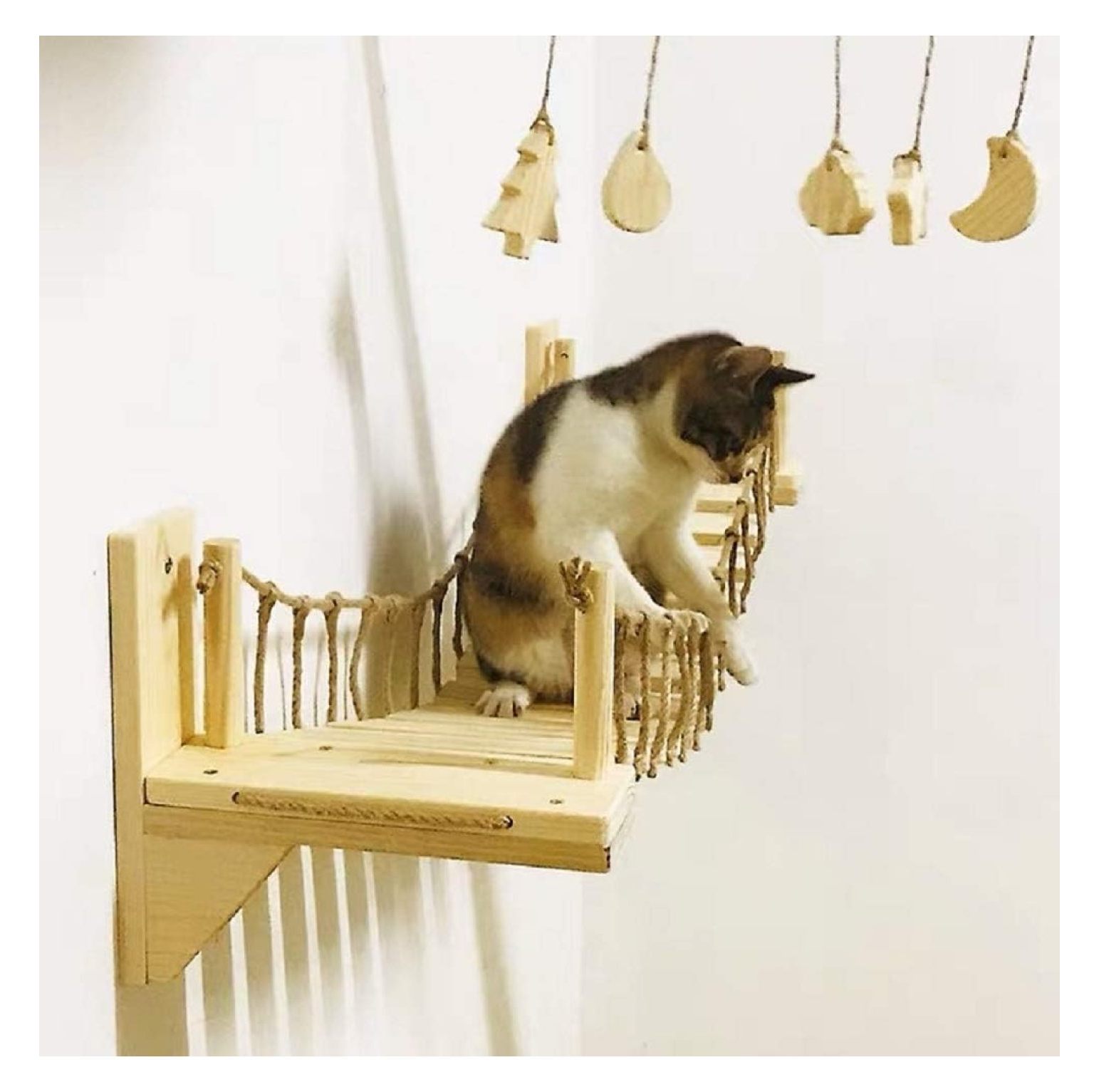 Cat Bridge - Wall Mounted Wooden Climbing Structure for Multiple Cats ...