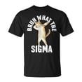Cat Bruh What The Sigma Saying T-Shirt Size S-5XL - Walmart.com
