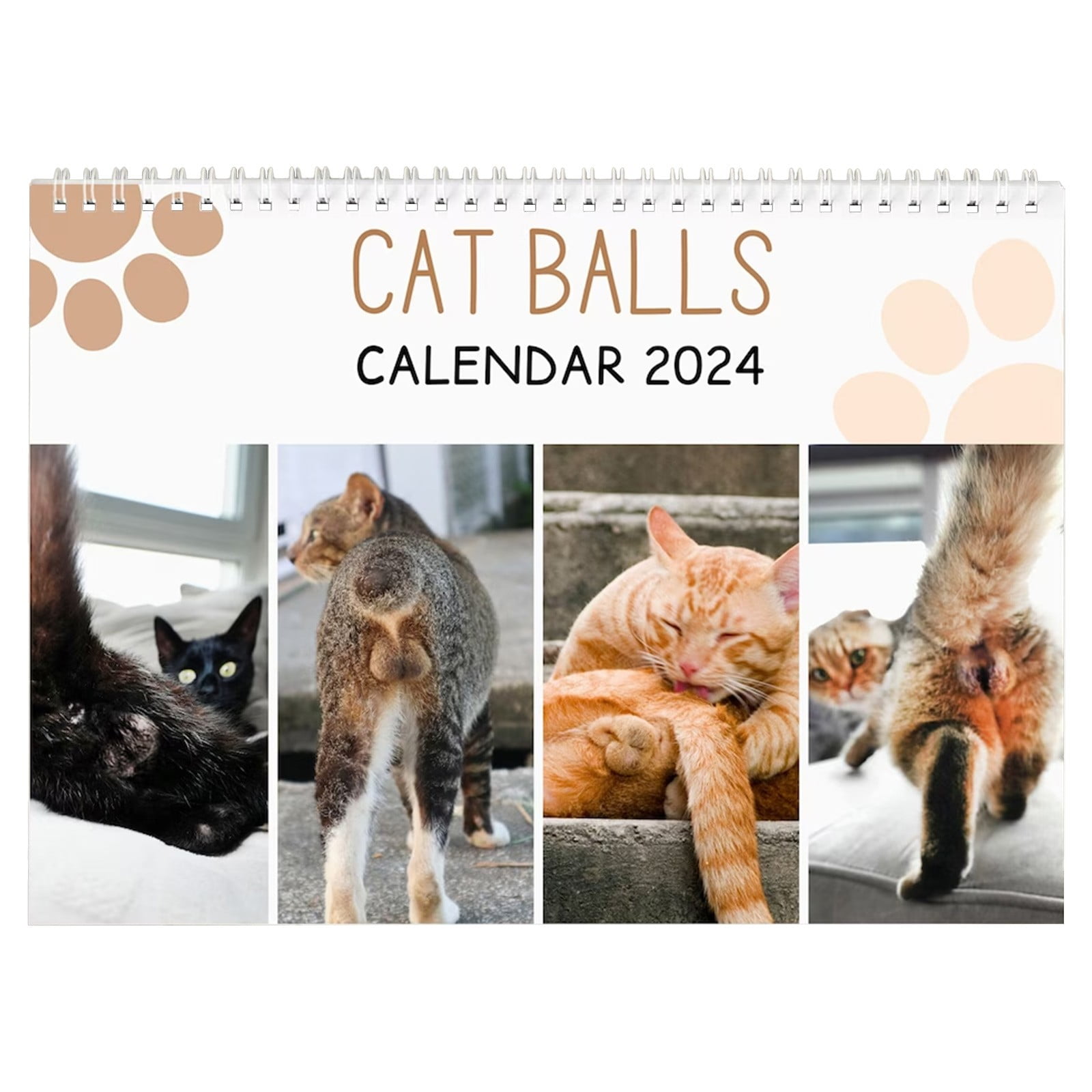 Cat Butts 2024 for Cat Lovers Funny Cats Calendar, Kitten Butt Calendar 2024 Monthly Wall