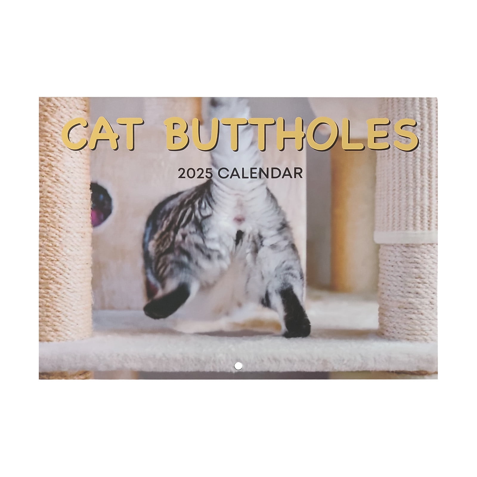 Cat Calendar 2025 New Funny Cat Wall Calendar 2025 Funny Cat Butthole Calendar 12 Month Cat Wall