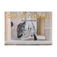 Cat Calendar 2025 New Funny Cat Wall Calendar 2025 Funny Cat Butthole