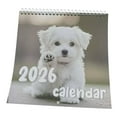 thumbnail image 1 of Cat Calendar 2026,Unreasonable Cat 2026 Calendar,Cute Kitten Wall Calendar,Large Bookstore-Quality,Spiral-Bound Hanging Monthly Wall Planners for Kitchen & Office,Pet calendar - 8.3x8.7Inch, 1 of 6