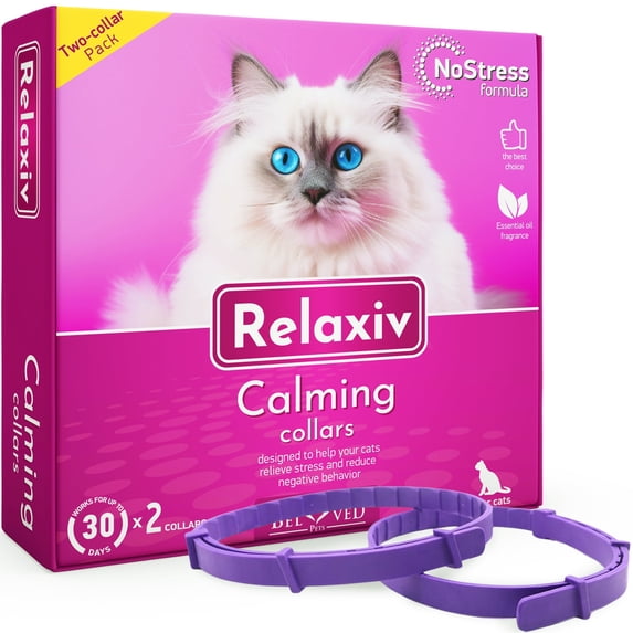 Picture of Ultrasonic Motion Sensor for Cats: Complete Technical Guide to ...