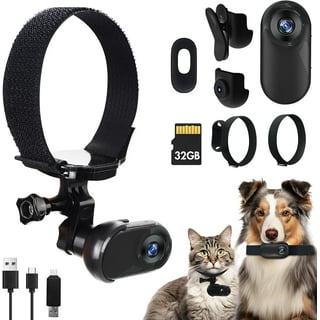 Dog collar spy camera discount