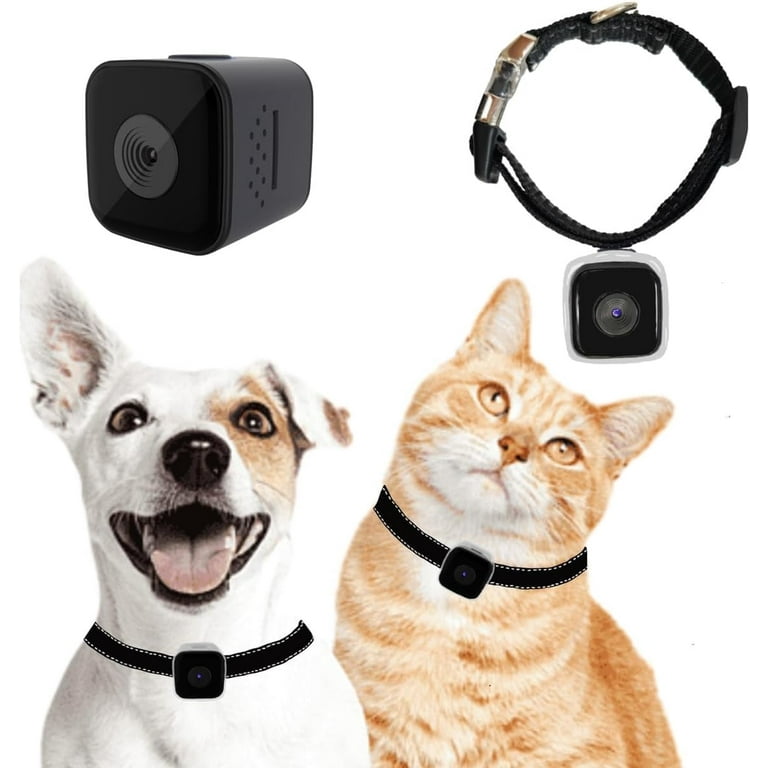 Cat Camera Collar No WiFi Needed No APP Cat Collar Camera with Video Record Body Camera for Cat Dog Recording Camera for Cat Collar Pet Collar