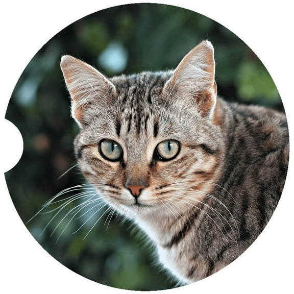 Cat Car Coaster, Absorbent Stoneware Car Cup Holder Coaster, Set of 2