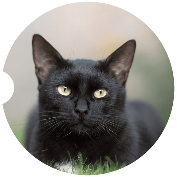 Cat Car Coaster, Absorbent Stoneware Car Cup Holder Coaster, Set of 2