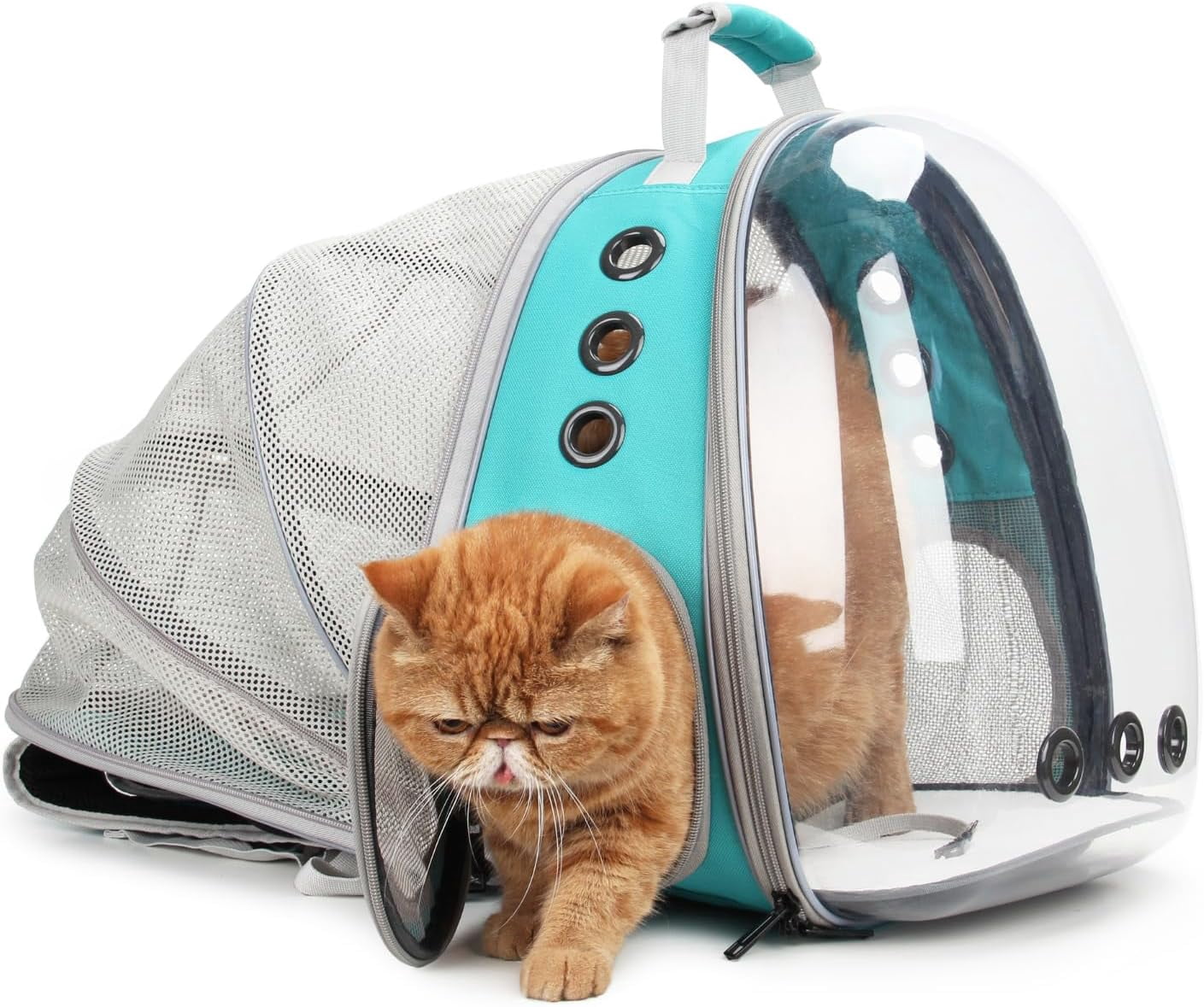 Cat Carrier Backpack, Expandable Bubble Pet Carrier for Cats and Small Dogs, Airline Approved Travel Backpack for Hiking, Walking & Outdoor Adventures - Supports up to 16 lbs