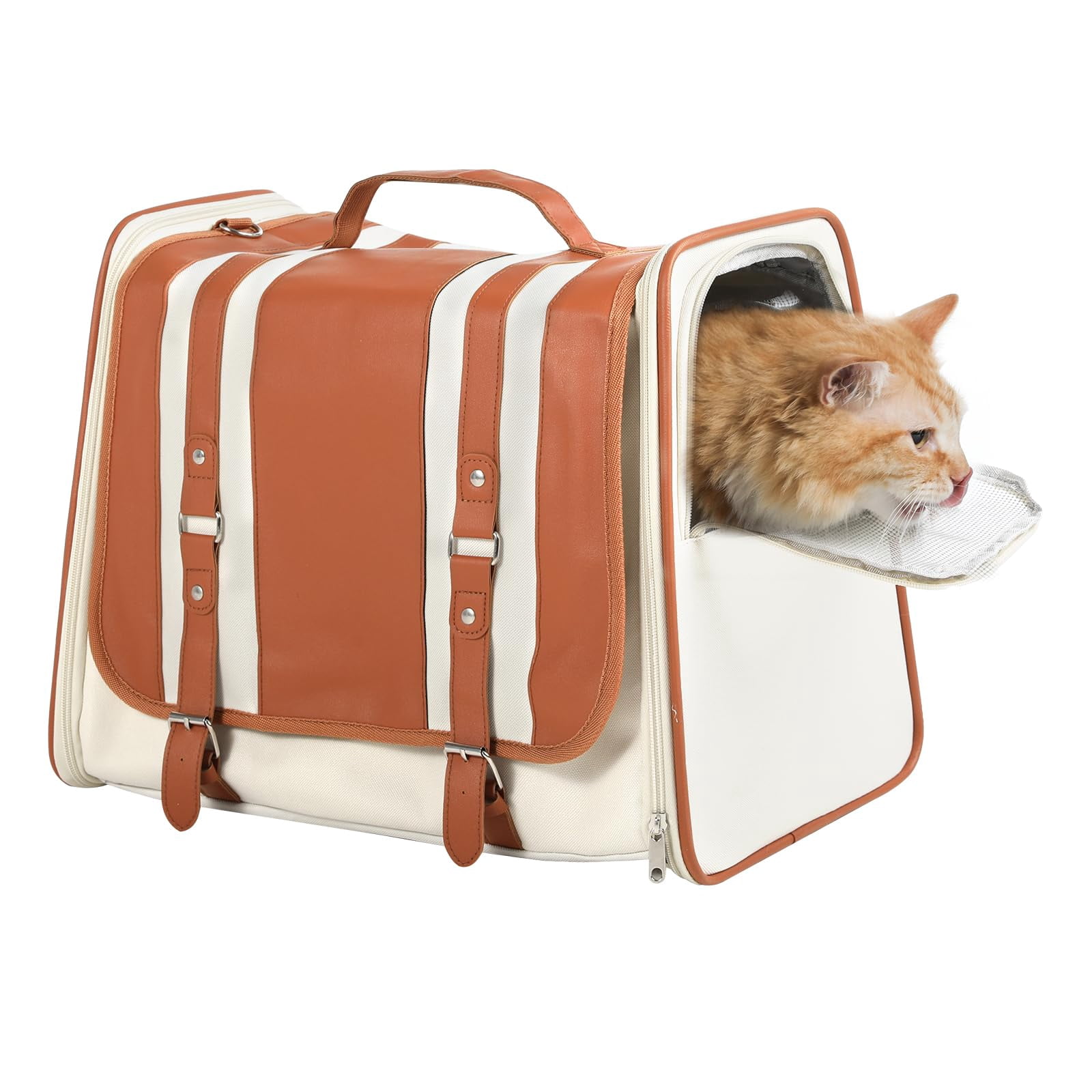 Hard-Sided Top Loading Pet Carrier - Airline Approved, 10 Lbs Capacity, Dual Doors & Ventilation For Cats & Small Dogs