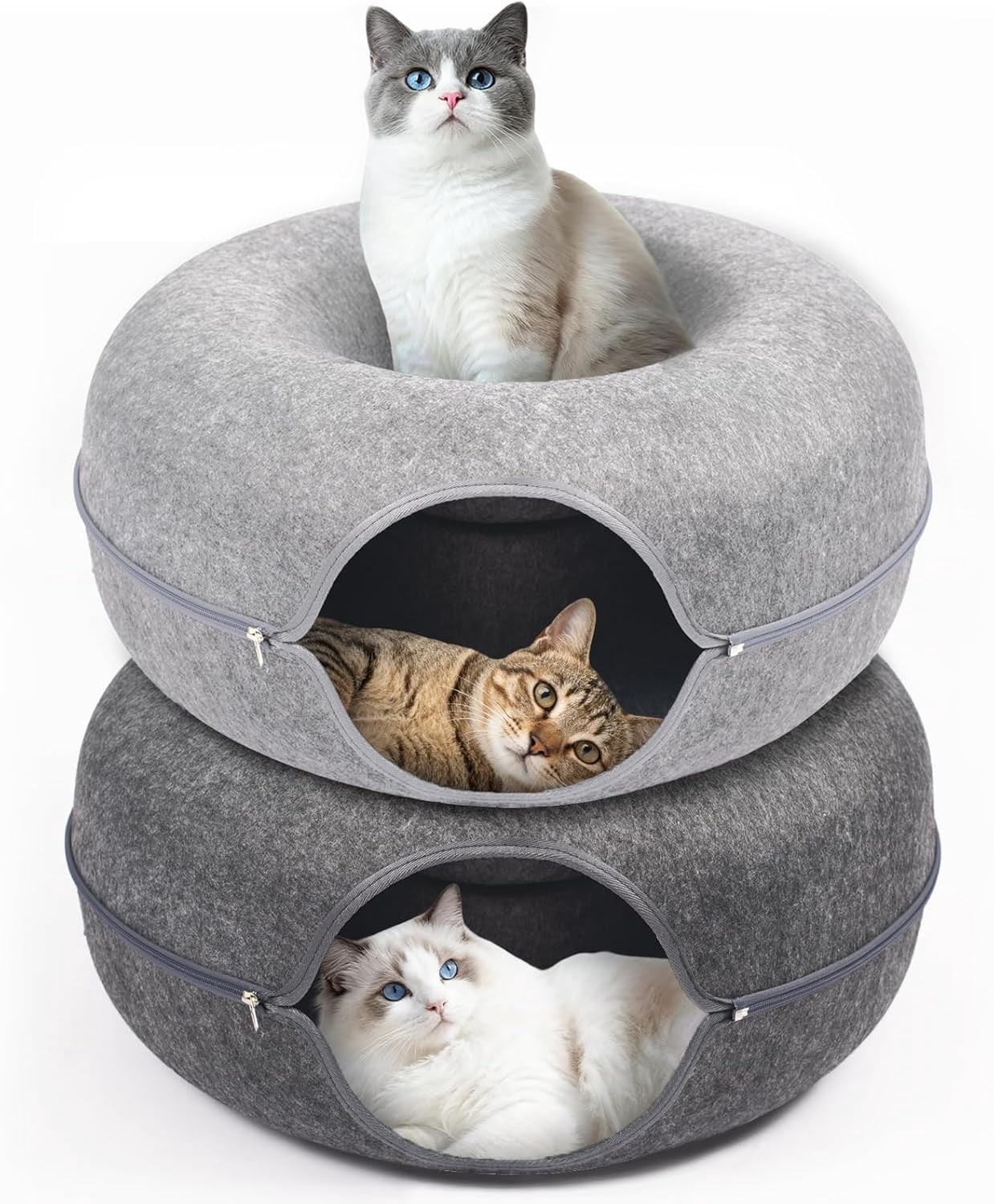 Cat Caves for Indoor Cats, Large Cat Tunnel for Multiple & Large Cats, Scratch Detachable Peekaboo Cat Cave Bed, Kitten Donut Kitty Hideaway Up to 45 Lbs : Pet Supplies