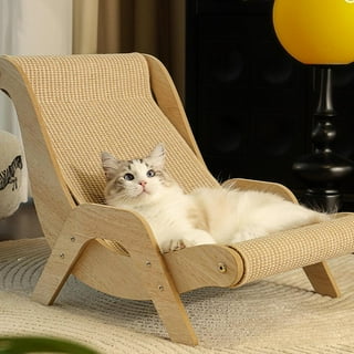 Cat Chair