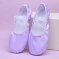 thumbnail image 1 of Cat Claw Satin Ballet Shoes Body Practice Dance Shoe Adult Exam Performance Soft Bottom Pink Flesh Blue Yoga Flat Women (Lavender,31), 1 of 7