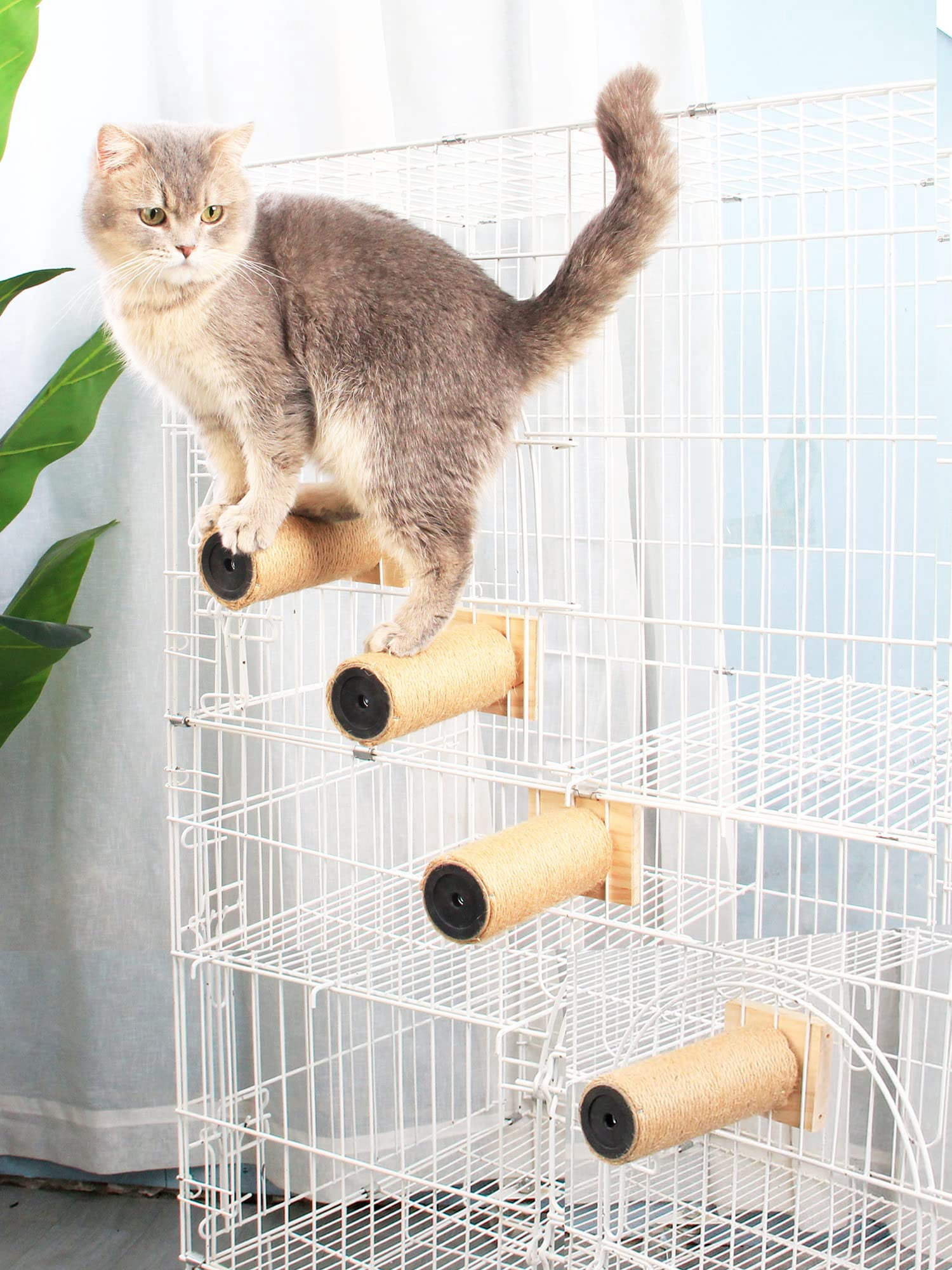 Stunning Step Perch Installation For Large Cages image