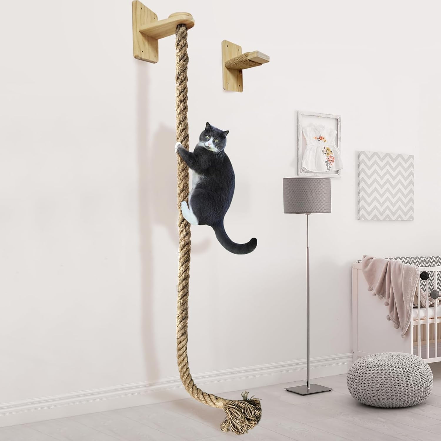 Cat Climbing Wall System - A combination of ropes and racks installed ...