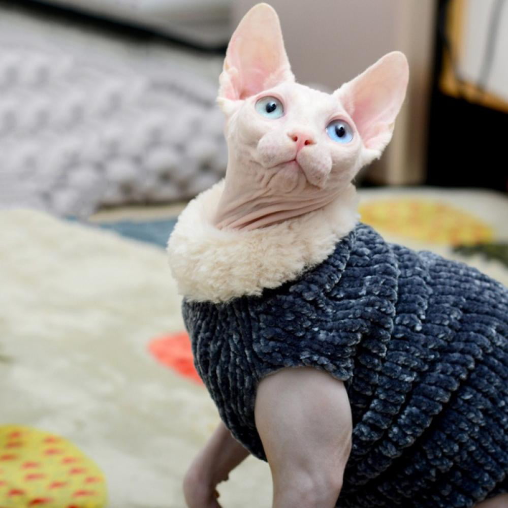 Coats for Sphynx Cats | Cat Winter Coat, Cat Coat, Jackets for cats