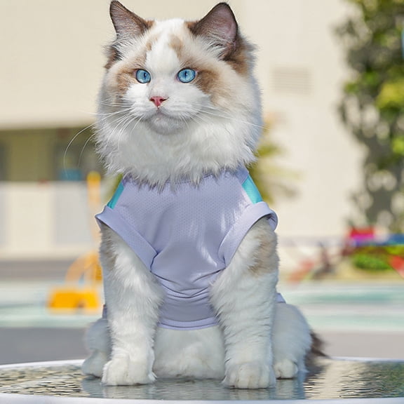 Cat Clothes for Cats Puppy T Shirts for Dogs Tank Tops Cooling Male Doggie Sweatshirt Printed Pet Clothing Small Dog Sun Shirts for Boys (Sky Blue,S)