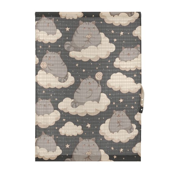 Cat Cloud Pattern Door Curtain Sheer Privacy Light Filtering Window Panel 1 Panel 25x72 Inch