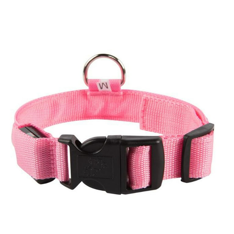 Non breakaway cat collar outlet