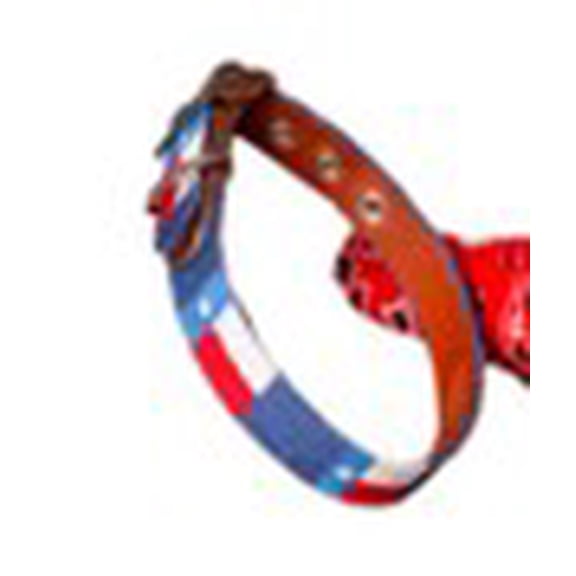 Name Drop Texas Cat Collar