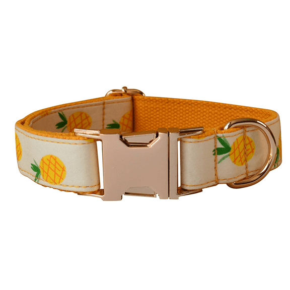 Cat Collars, Dog Collars, Cat Leashes, Dog Leashes, Small Dog Collars, Medium Dog Collars,