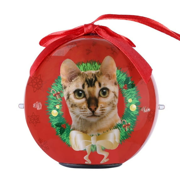 Cat Collection Twinkling Lights Christmas Ball Indoor Decorative Ornament