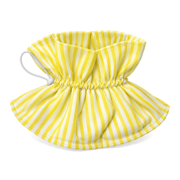 Cat Collar Cone