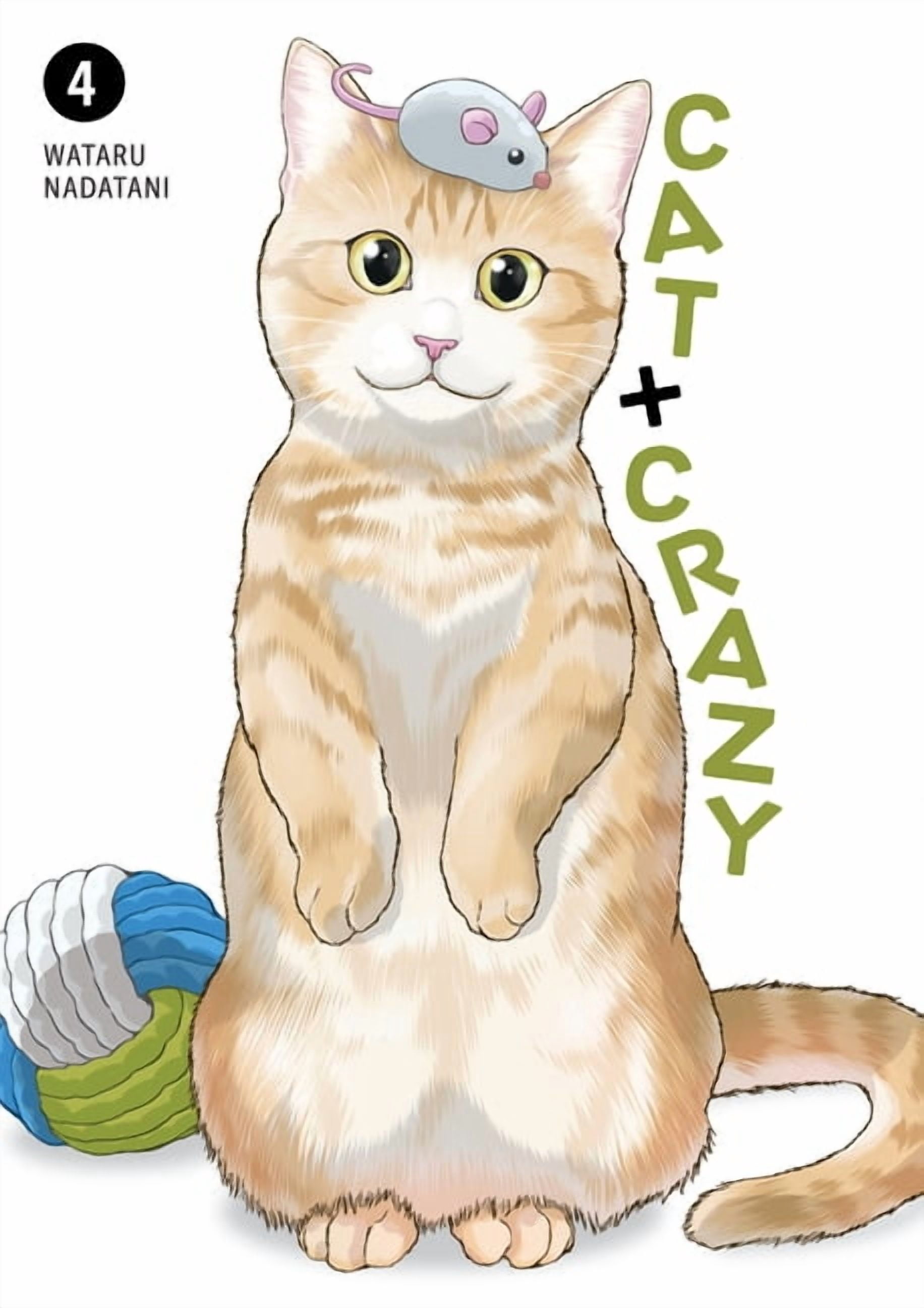 Cat + Crazy Cat + Crazy Volume 4, (Paperback)