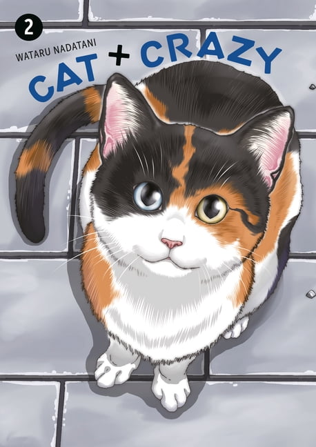 Cat + Crazy Cat + Crazy Volume 2, (Paperback) - Walmart.com