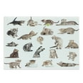 thumbnail image 1 of Cat Cutting Board, Illustration of Funny Playful Cats on Plain Background Animals Kitten Pattern, Decorative Tempered Glass Cutting and Serving Board, Large Size, Brown Black White, by Ambesonne, 1 of 1
