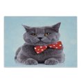 thumbnail image 1 of Cat Cutting Board, Tuxedo Grey Scottish Fold Theme White Polka Dots Tie Bow Funny Illustration, Decorative Tempered Glass Cutting and Serving Board, Small Size, Pale Blue Purpleblue, by Ambesonne, 1 of 1