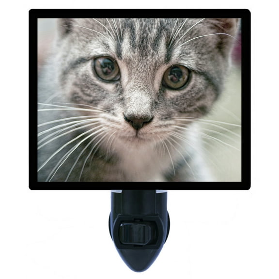 Cat Decorative Photo Night Light Plus One Extra Free Switchable Insert. 4 Watt Bulb. Image Title: Mr. Whiskers. Light Comes with Extra Bulb.