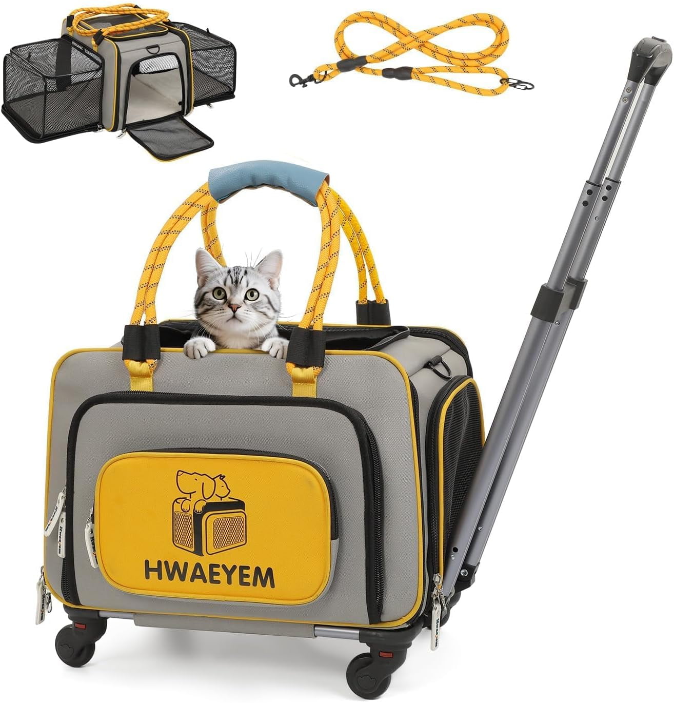 Beautiful view of Crate For Small Dogs Under 20 Pounds