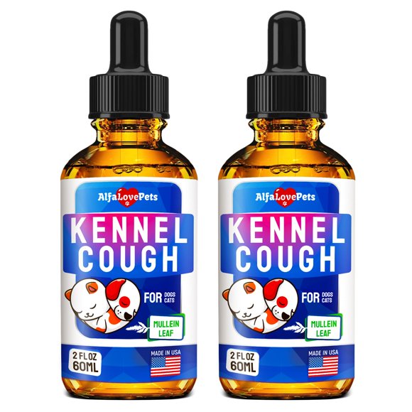 Kennel Cough Symptoms
