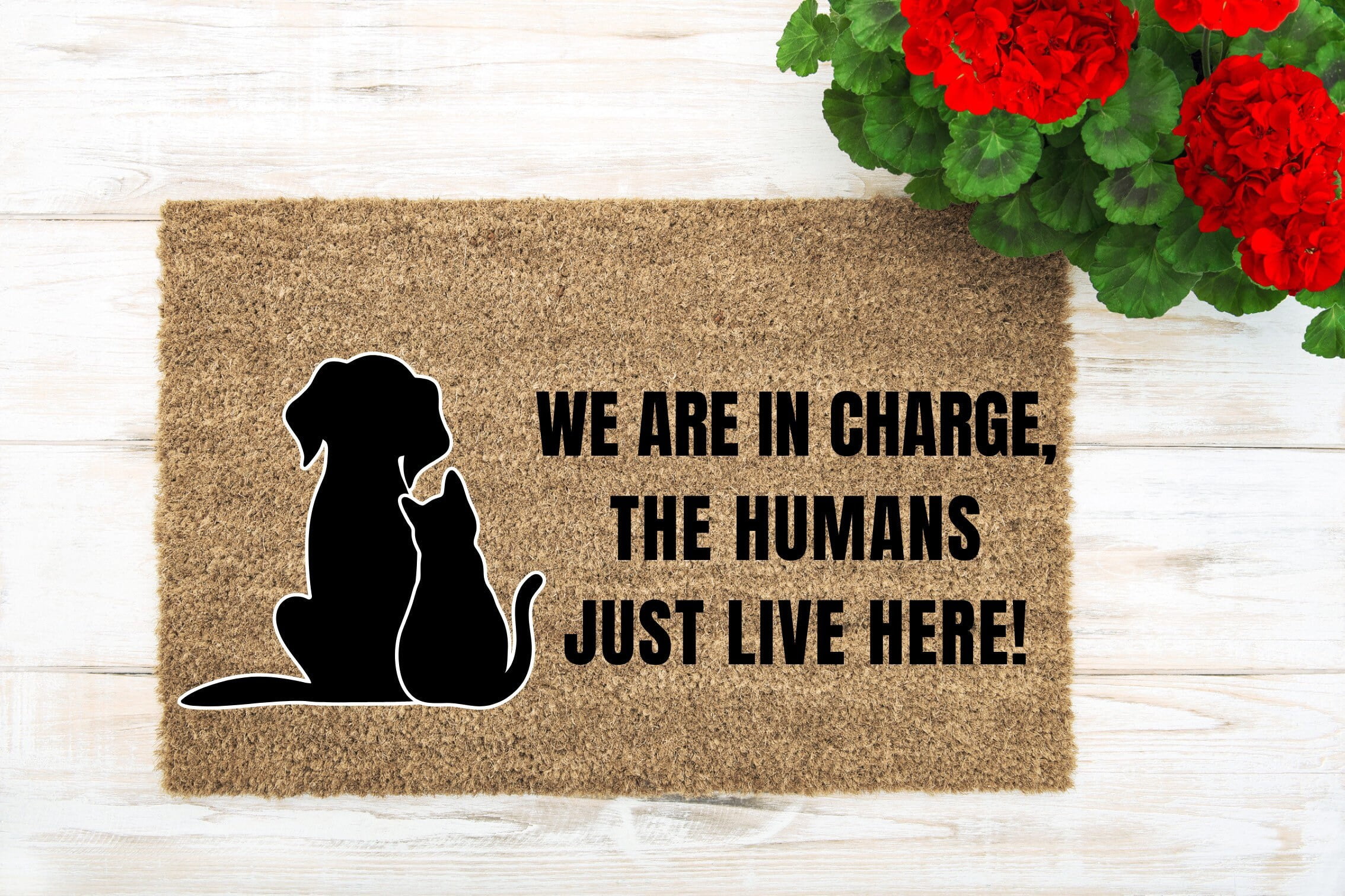 Cat & Dog Doormat Front Door Mat Outdoor Porch Decor Home Gifts Machine