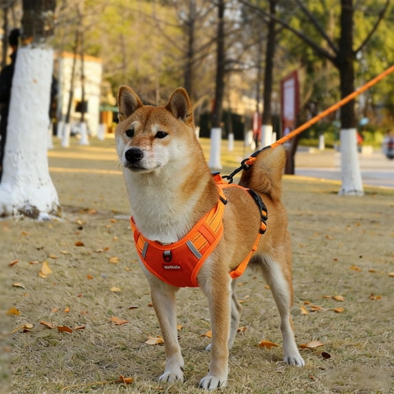Cat Dog Harness and Leash Set XS Puppy Harness for Small Dogs Soft Suede No Pull Dog Vest Harness Adjustable XSmall Dog Harness with Leash for Cats Puppies Walking Training