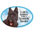 thumbnail image 1 of Cat & Dog Magnets-Scottish Terrier, 1 of 1