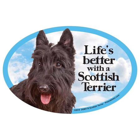 Cat & Dog Magnets-Scottish Terrier