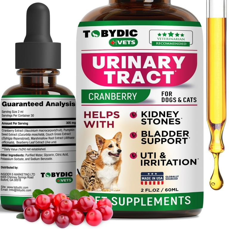 Best Incontinence Medicine for Dogs: Top Effective Solutions Revealed