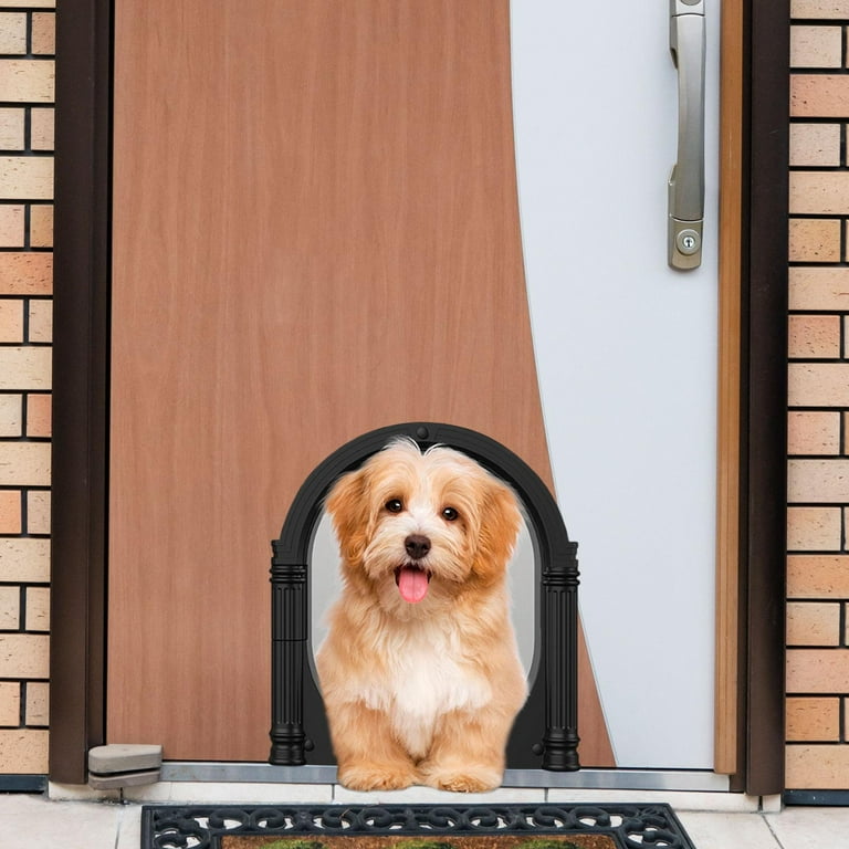 Backyard dog door 2025