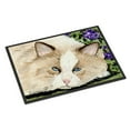 thumbnail image 1 of Carolines Treasures SS8825MAT 18 x 27 in. Cat Indoor & Outdoor Doormat, 1 of 4