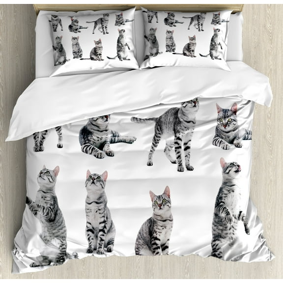 Cat Duvet Cover Set, Studio Shot Photos of Delicate Tabby Kitten on Plain Backdrop Animals Concept Art, Decorative 3 Piece Bedding Set with 2 Pillow Shams, King Size, White Pale Grey, by Ambesonne
