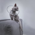thumbnail image 1 of Cat Elizabethan Collar Transparent Comfort S1, Pet Recovery Collar For Cat Wound Care, Adjustable Cat Elizabeth Collar, Soft Cat Cone For Cat Protection, Cat Care Supplies, 1 of 6