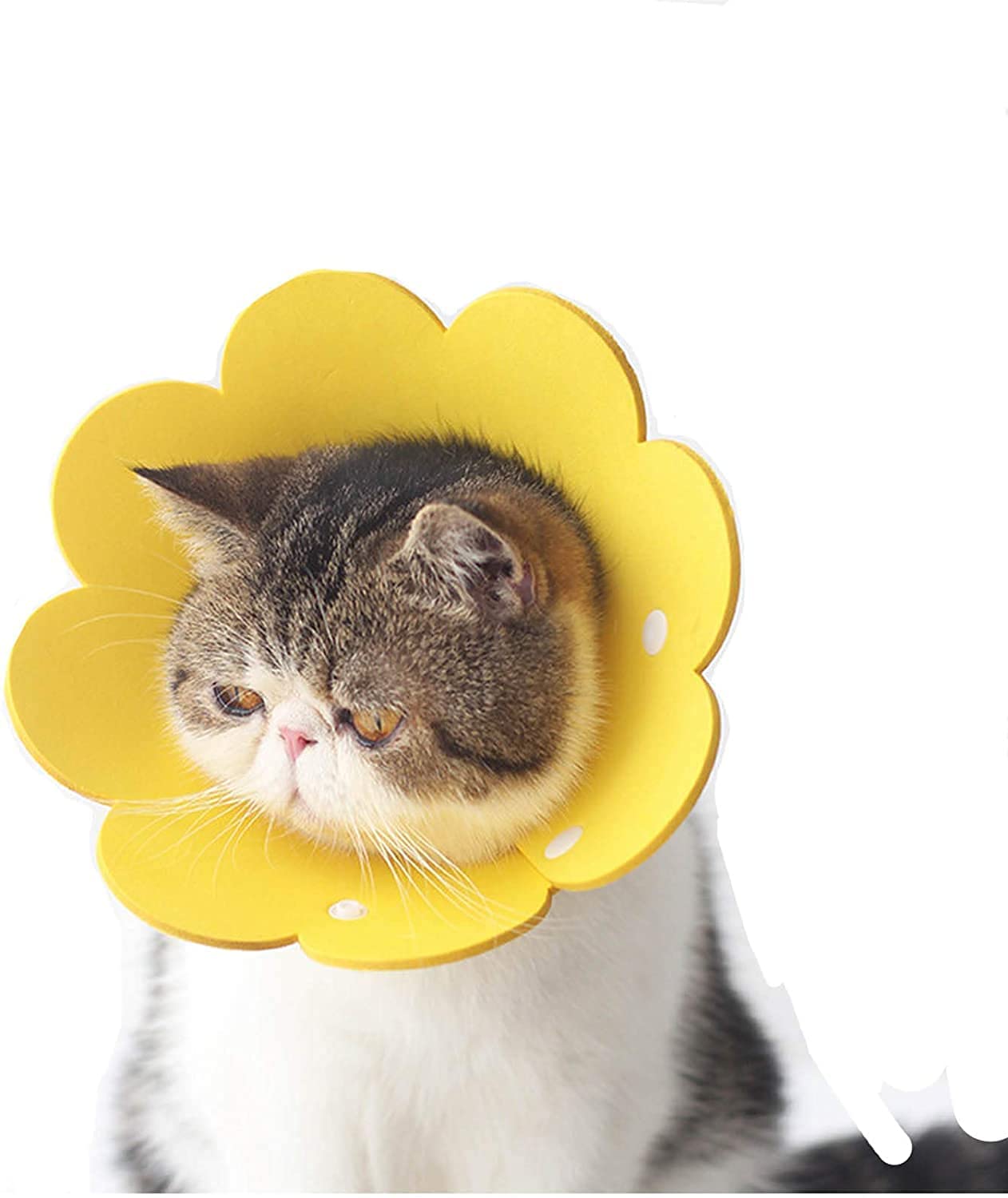 Cat Elizabethan Recovery Collar Adjustable Cat Dog E Collar with
